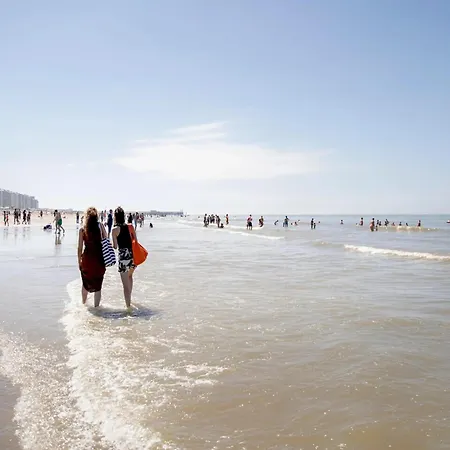 In Belgium Near The Appartamento Blankenberge